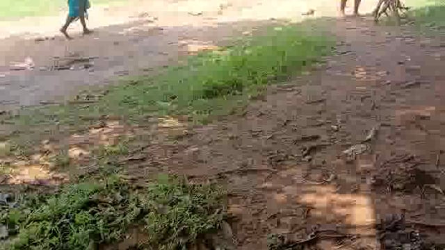 झारखंड राज में गरीबी देखिए।। सरकार लापवाही भ्रष्टाचार है।। pramod pardeshi 