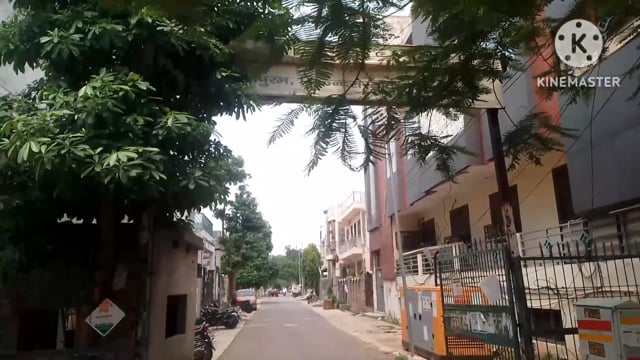 सुलभ पुरम कॉलोनी कारगिल पेट्रोल पंप के पास विशाल मेगा मार्ट के सामने कॉलोनी के गेट पर मरा पड़ा हुआ कुत्ता तीन-चार दिनसे 