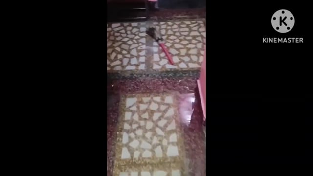 आगरा शहर में सोमवार मंगल को बारिश पड़ने से जनता को गर्मी मराहत कुछ जगह जल भराव से जनता को दिक्कतों का सामना भी करना पड़ा