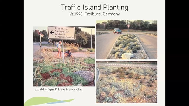 Steve Castorani on Gravel Gardens