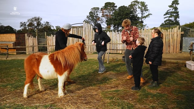 Fun at The Funky Farm