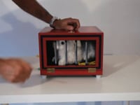 Balloon to Rabbit Box