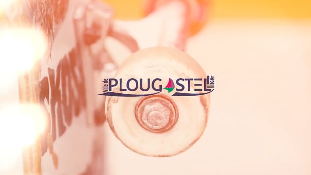 Skatepark Fédéral — Ville de Plougastel-Daoulas 2025