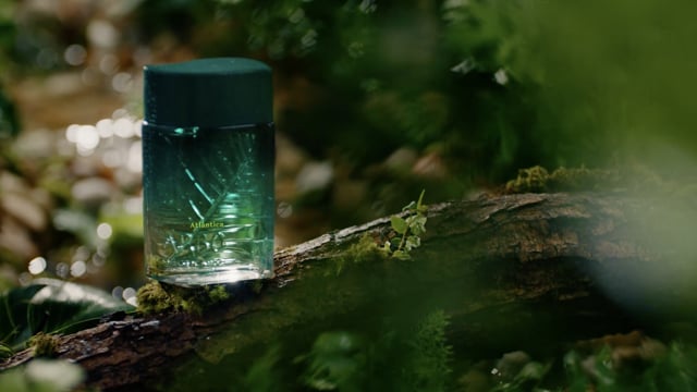 Arbo Atlântica