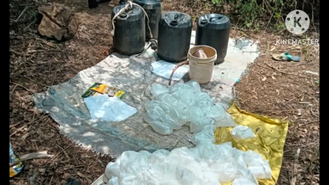 सिरदला पुलिस की ताबड़तोड़ छापेमारी में 340 लीटर महुआ शराब बरामद कर, तीन बाइक को किया जब्त, एक व्यक्ति को किया गिरफ्तार