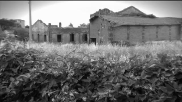 Video Bicycle - Mazzo spiritato