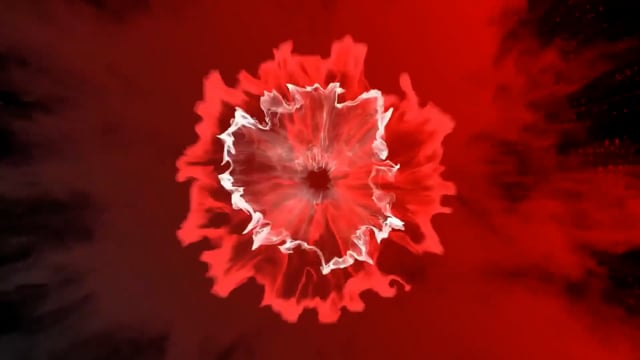 Video Ninja + Coins Created by Matthew Garrett
