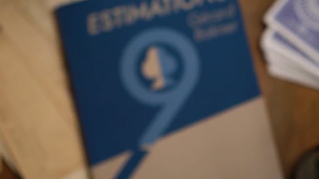 Video Estimations by Gérard Bakner
