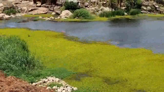 प्रेमनगर रेलवे गड़िया डैम अपनी दुर्दशा पर आंसू बहा रहा है लोगों ने पर्यटन क्षेत्र के रूप में विकसित करने की मांग