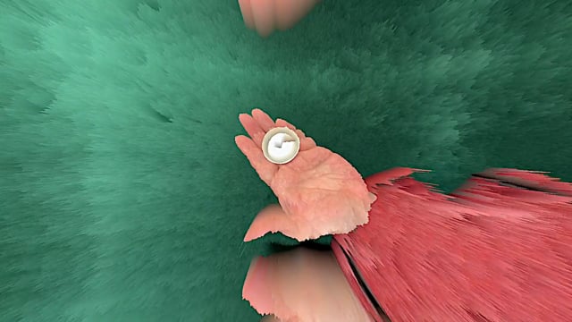 Video Wonder Shiner by King of Magic