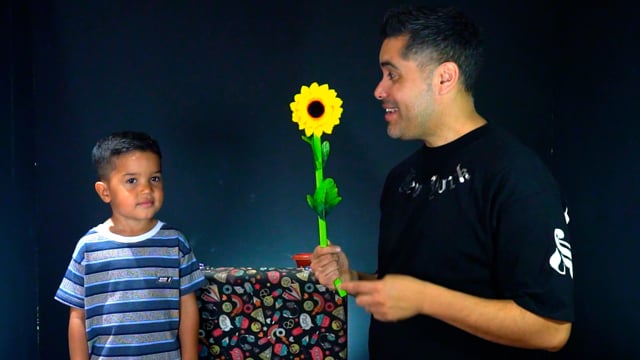 Video Super Flower Kit by Mago Flash