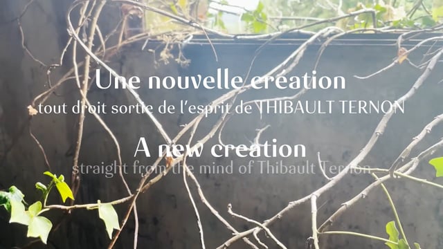 Video Ether by Thibault Ternon x Le Cabinet d Illusions