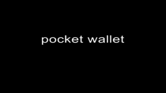 Video Pocket Wallet Set (Gimmicks and Online Instructions) by Dominique Duvivier - Trick