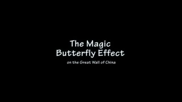 Video Magic Spider Butterfly Pack by Ian Pidgeon- Trick (VT)