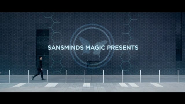 Video The Foundation by SansMinds - DVD