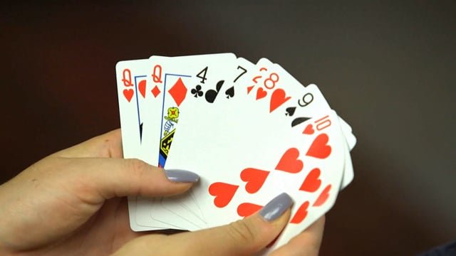 Video ROGUE - Easy to Do Mentalism with Cards by Steven Palmer - DVD