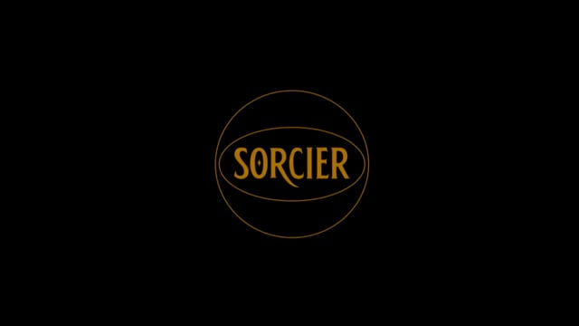 Video Instant Bow Tie (Red) by Sorcier Magic - Trick