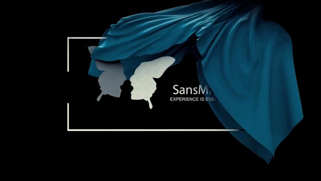 Video SansMinds Worker s Collection: Fake (DVD and Gimmick) - Trick