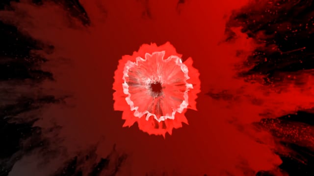 Video GIR Ring Set (Gimmick and Online Instructions) by Matthew Garrett - Trick