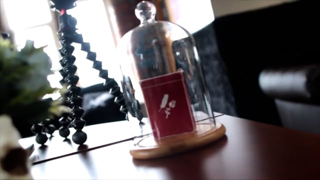 Video Royal Blue Remedies Playing Cards by Madison x Schneider