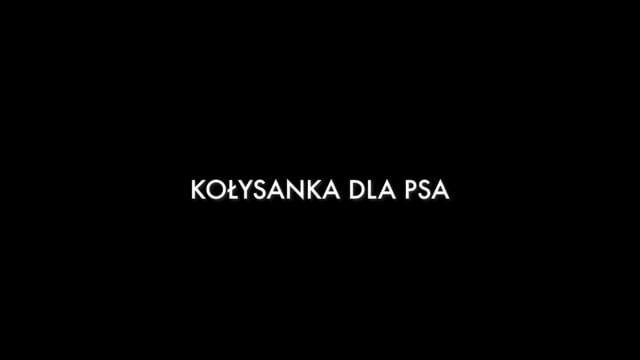 Kołysanka dla psa_No song in the air_dir. J. Różniak_trailerEN