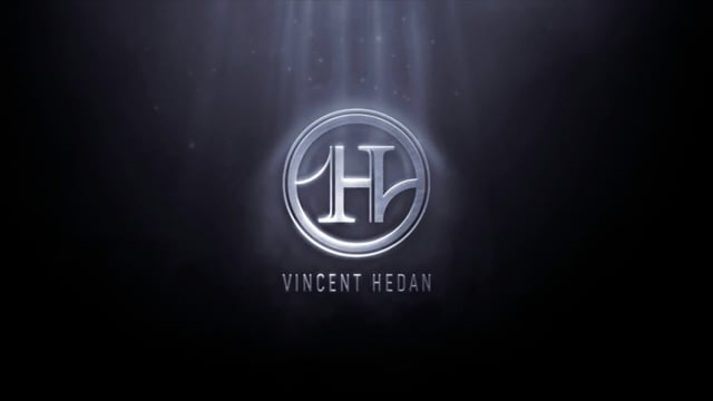 Video Amnesia by Vincent Hedan - Book (VT)