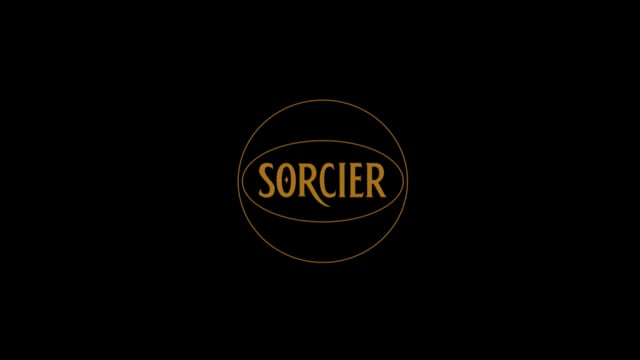 Video Spike Roulette / Remote by Sorcier Magic - Trick (VT)