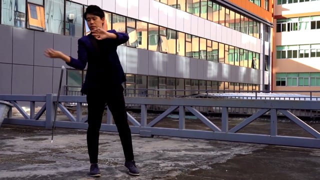 Video Dancing Vanishing Cane V2 / BLACK (D.V.C.) by Magiclism