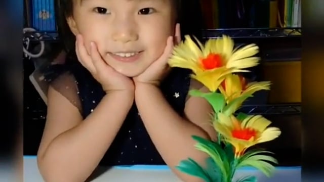 Video Appearing Flower Wand by Alan Wong - Trick