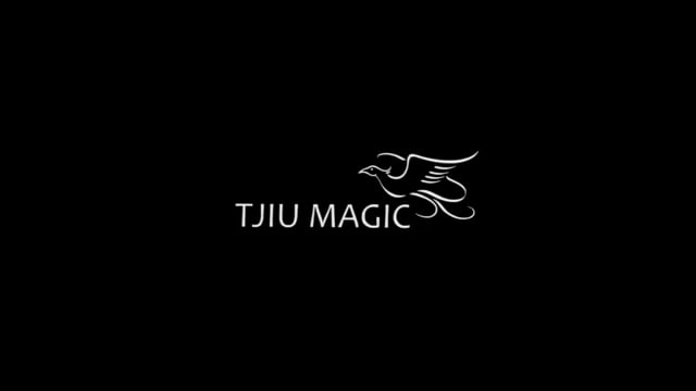 Video Vega BLACK (Gimmicks and Online Instruction) by Handy Altan & Agus Tjiu - Trick