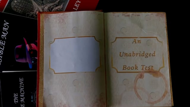 Video Facsimile (Time Machine) by Michael Daniels - Trick