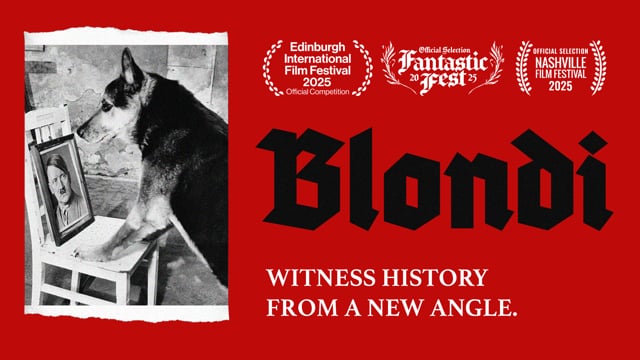 Blondi