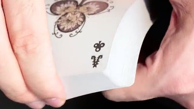 Video Epiphyllum Playing Cards