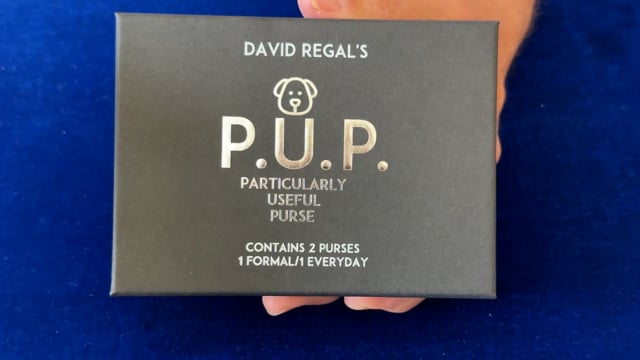 Video PUP (set) by David Regal - Trick