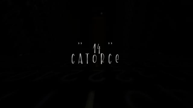 Video 14 (Gimmicks and Online Instructions) by Pepo Capel & Crazy Jokers - Trick