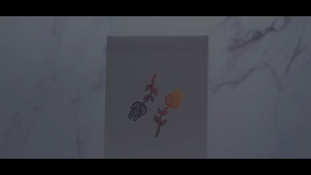Video Innocence (Holographic Edition) Playing Cards