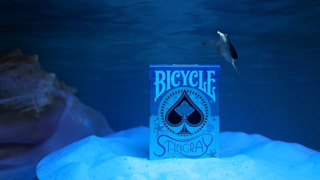 Video Bicycle Stingray (Teal) Playing Cards (VT)