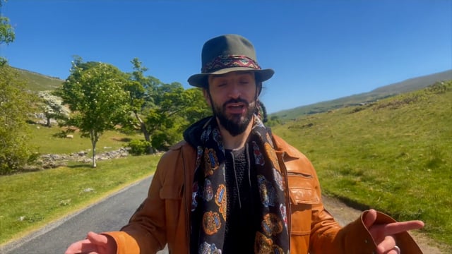 Video The Traveller by Reese Goodley - Book