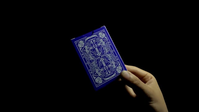 Video Sanctuary (Red) Playing Cards