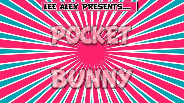 Video Pocket Bunny by Lee Alex