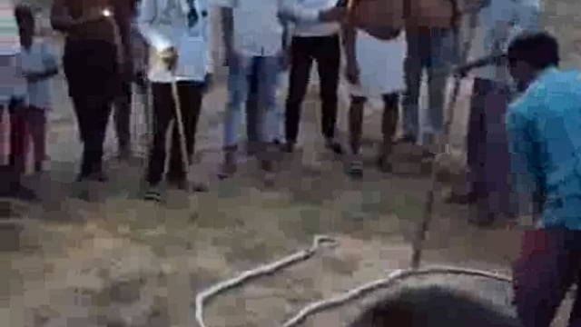 आगरा बाह खेतों में निकला सांप का जोड़ा युवकों ने सांप को लाठी डंडों से पिता सांपों का पीट-पीट कर मार डाला