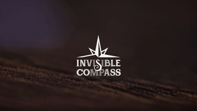 Video The FLY LITE by Marcos Waldemar & Invisible Compass