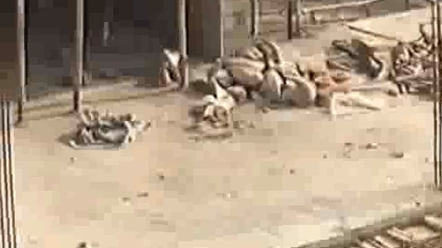 ▶️....गुजरात,धारी- जिला अमरेली में एक शेर निर्माणाधीन भवन में भ्रमण करता देखा गया!*
*छत पर मजदूर सो रहे थे, अचानक नींद खुलने पर शेर को देखकर उनके होश उड़ गए और वह जान बचाकर भागे!!*