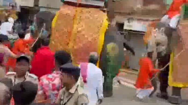 जब अहमदाबाद में रथयात्रा के दौरान डीजे व बैंड की तेज आवाज से बेकाबू हुए गजराज, मची अफरा तफरी 