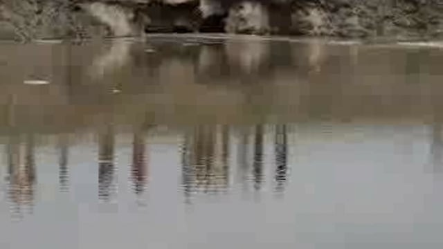 पलिया में गहराया बाढ़ का संकट