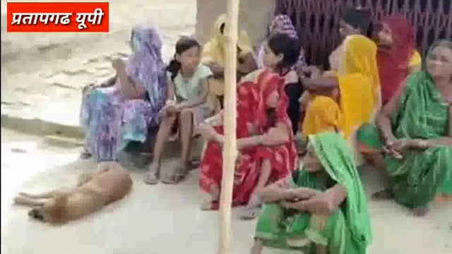 UP के प्रतापगढ़ जिले से दिनभर की बड़ी खबरें। 29/06/2025 #pratapgarh #latestnews  @reporteJitendra 