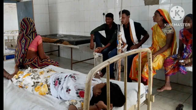 14 वर्षीय बालिका को करैत सांप ने काटा पीएचसी में किया गया इलाज