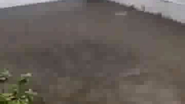 गलियों में उल्टा बह रहा नाले का पानी