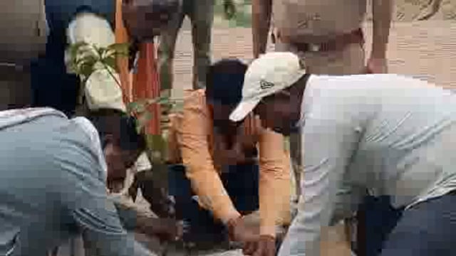  अमृत सरोवर पोखरा संझवल पर क्षेत्रीय वन अधिकारी व ग्राम प्रधान के तत्वाधान में पर्यावरण संरक्षण हेतु रोपत किए गए पौधे