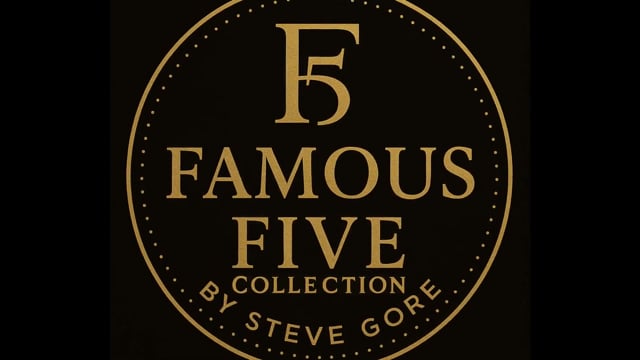 Video Double Vision by Steve Gore